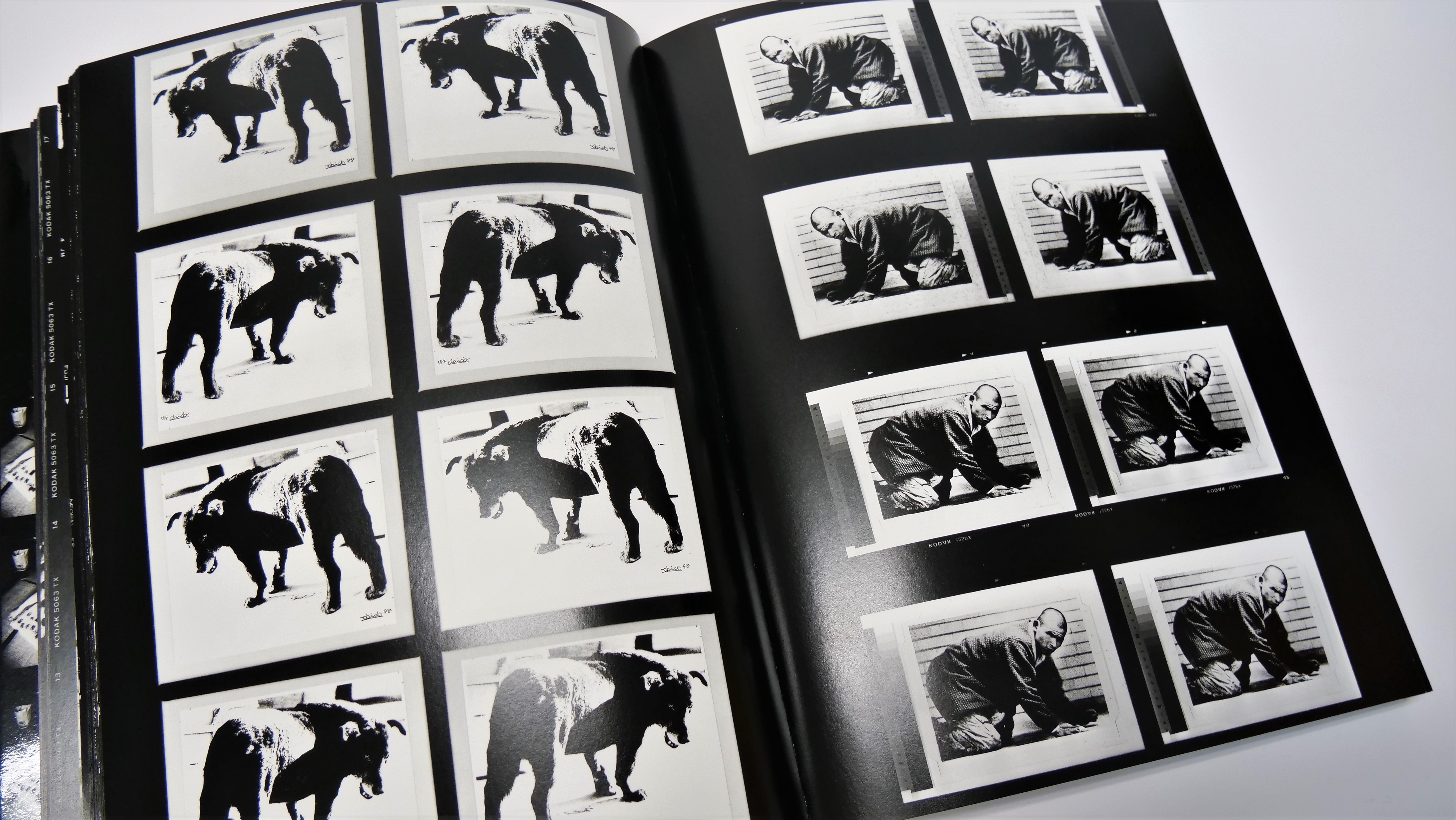 コンタクトシートを通して森山大道氏の知られざる一面が垣間みれる