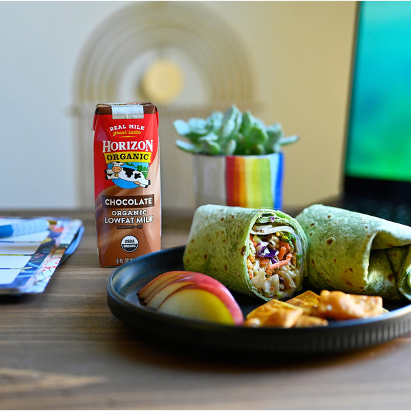 Horizon Organic Lowfat Chocolate Milk Same-Day Delivery or Pickup
