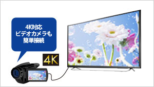 EX-LD4K431DB | 4K対応43型（可視領域42.5型） ワイド液晶ディスプレイ