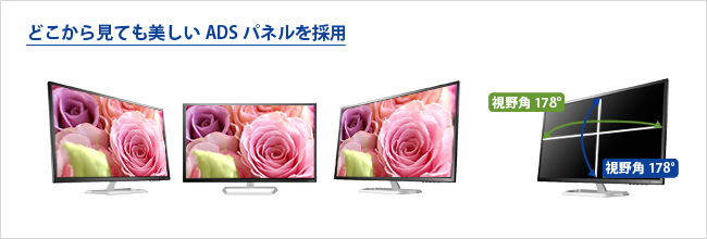 EX-LDQ321DB | 広視野角ADSパネル採用＆WQHD対応31.5型ワイド液晶