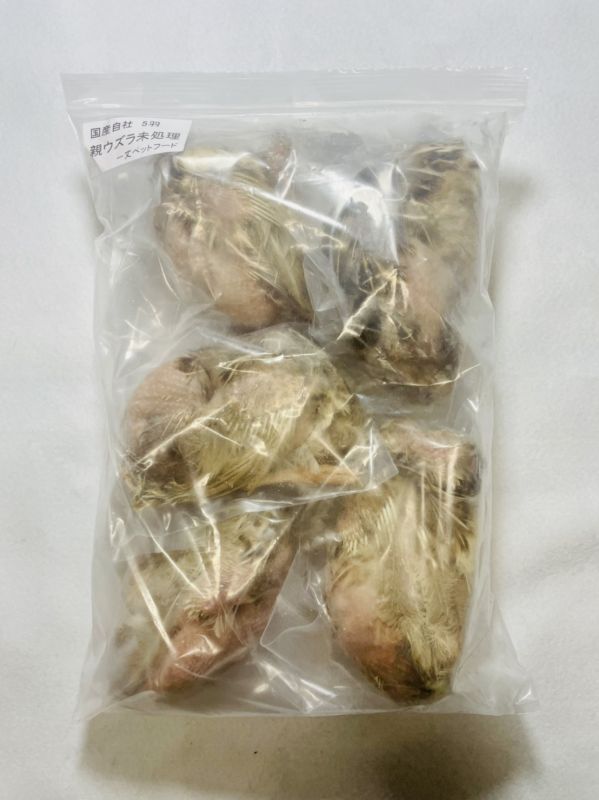 親ウズラ 未処理 5羽 国産自社 - イチジョウペットフード