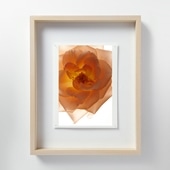 定番品】山口一郎 「HANA-green」｜ポスター｜IDEE SHOP Online