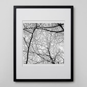 定番品】アンリ・マティス 「265」ブラックフレーム｜ポスター｜IDEE