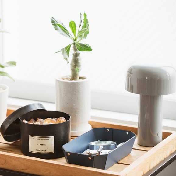 MAD et LEN POT VEGETAL AMBER TERRE NOIRE｜ディフューザー｜IDEE