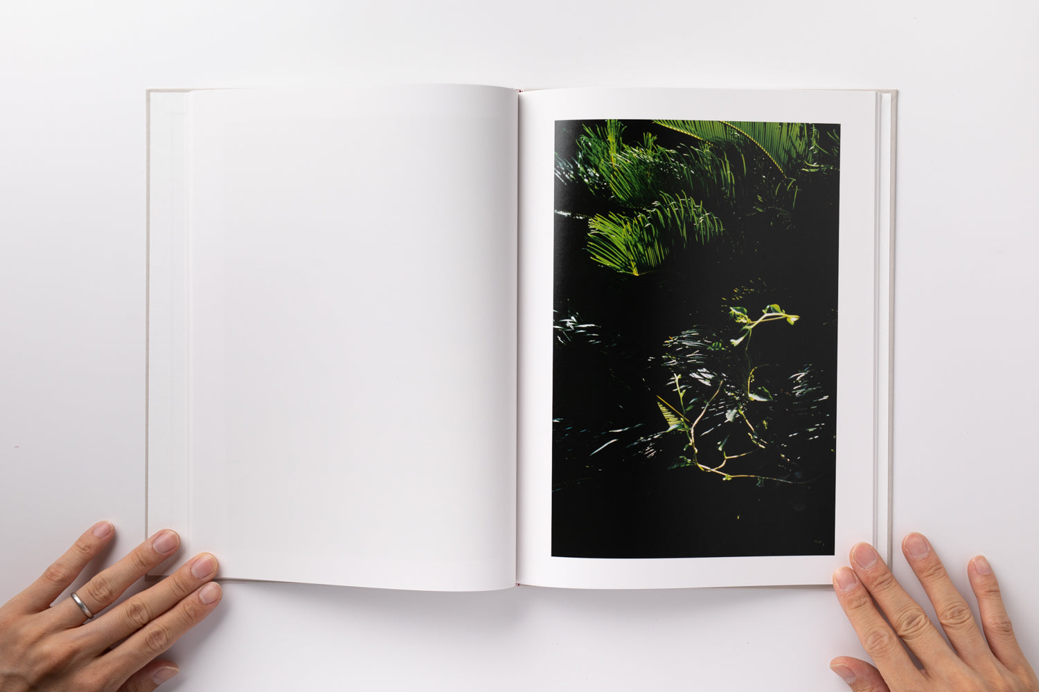 2X6A2801_4100x.jpg?v=1691817247