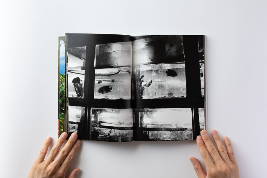 中平卓馬: 原点復帰 — 横浜 – IACK