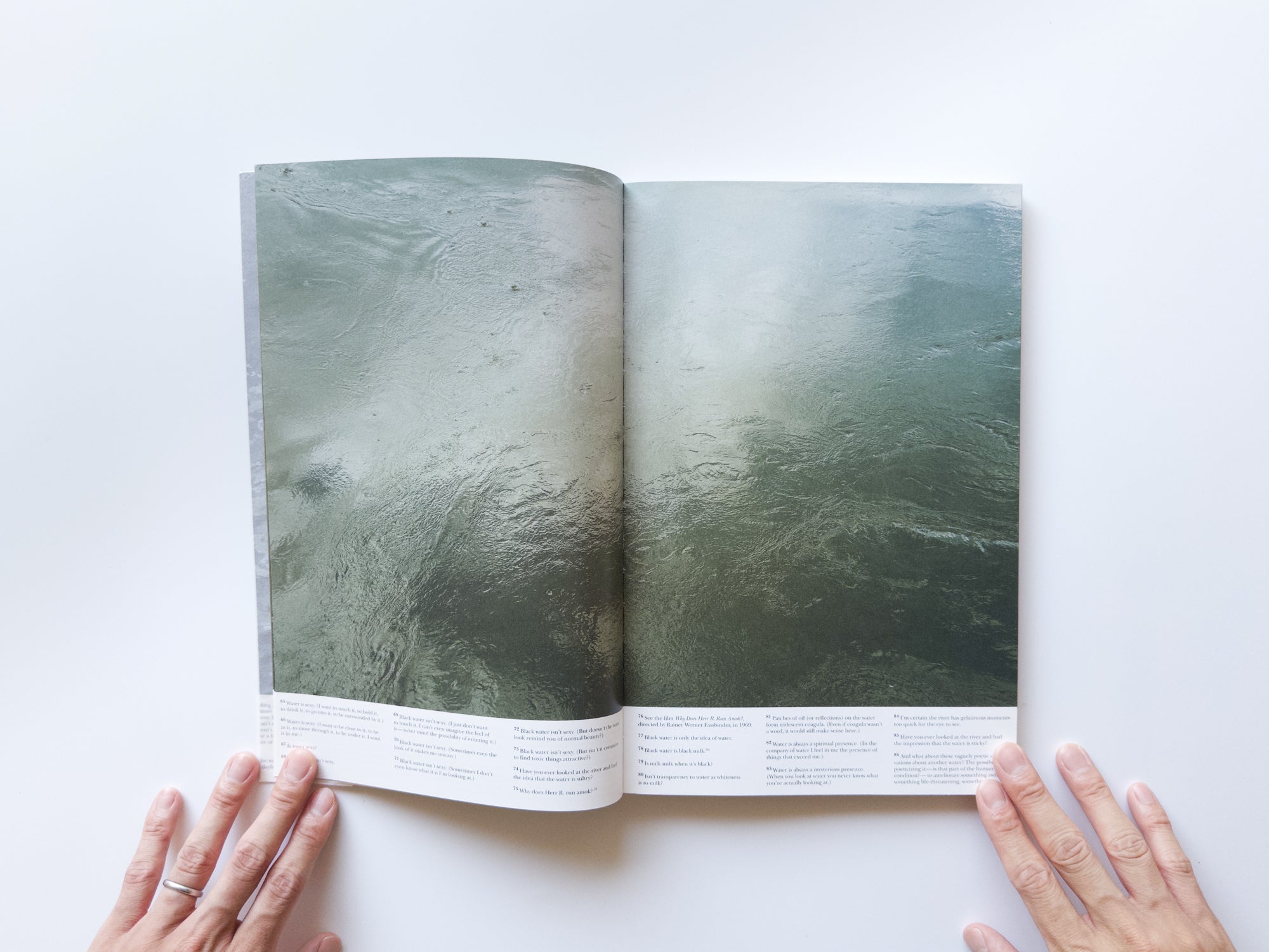 IMG_2382_4100x.jpg?v=1720751089