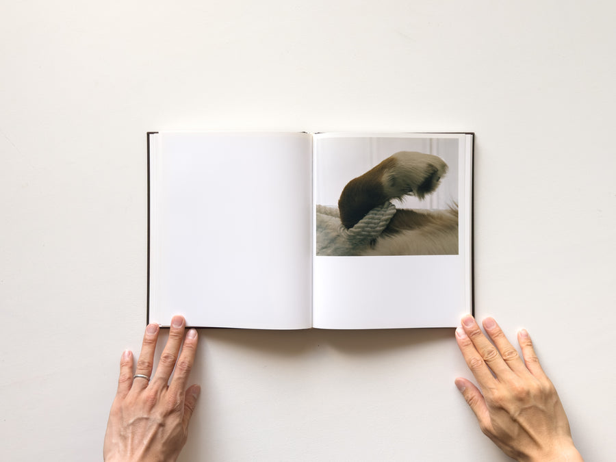 I Want To Live Innocent by Torbjørn Rødland – IACK