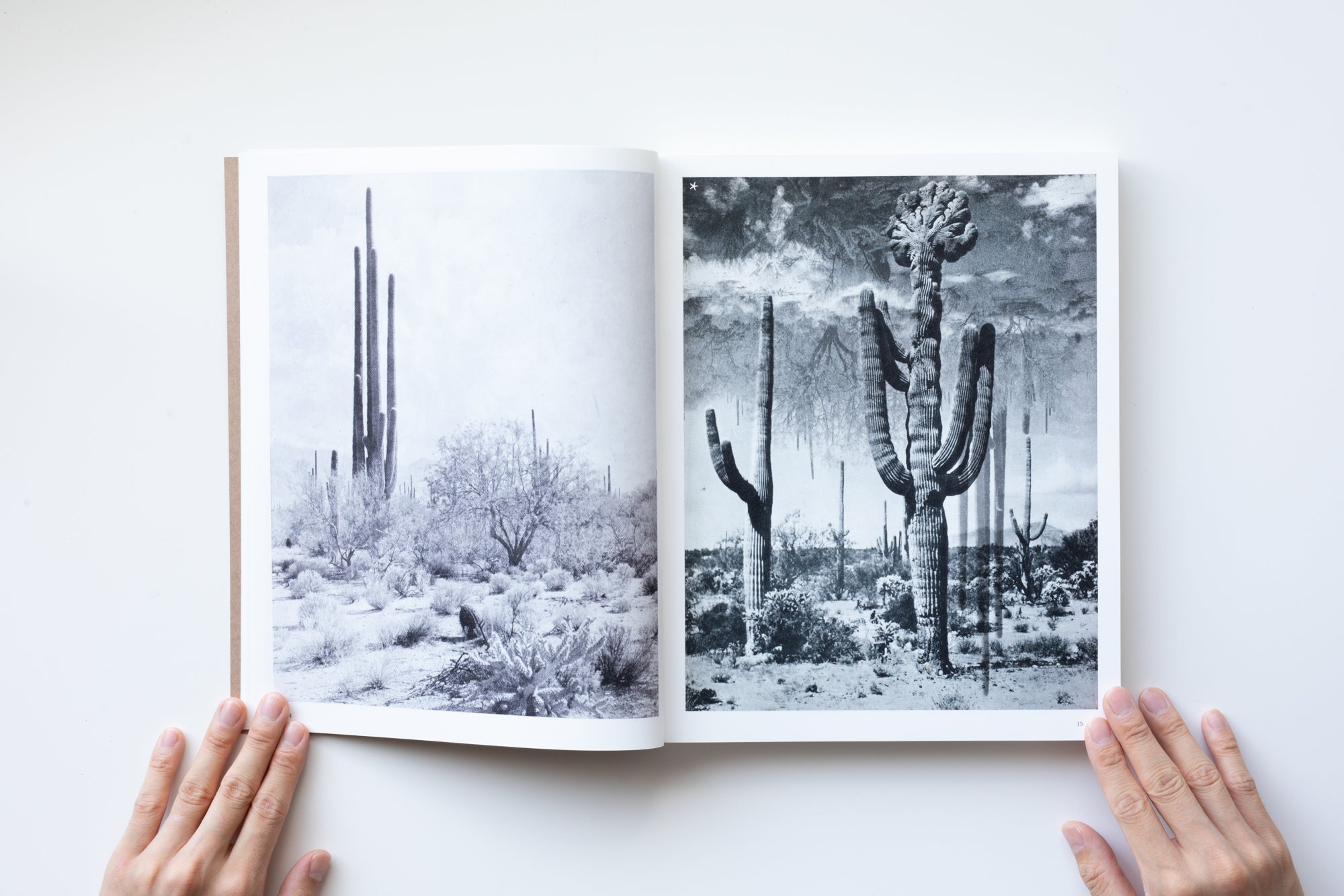 Hexamiles (Mont-Voisin) by Batia Suter – IACK