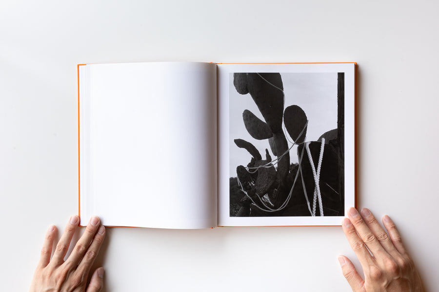 Mint) Vanilla Partner by Torbjørn Rødland – IACK