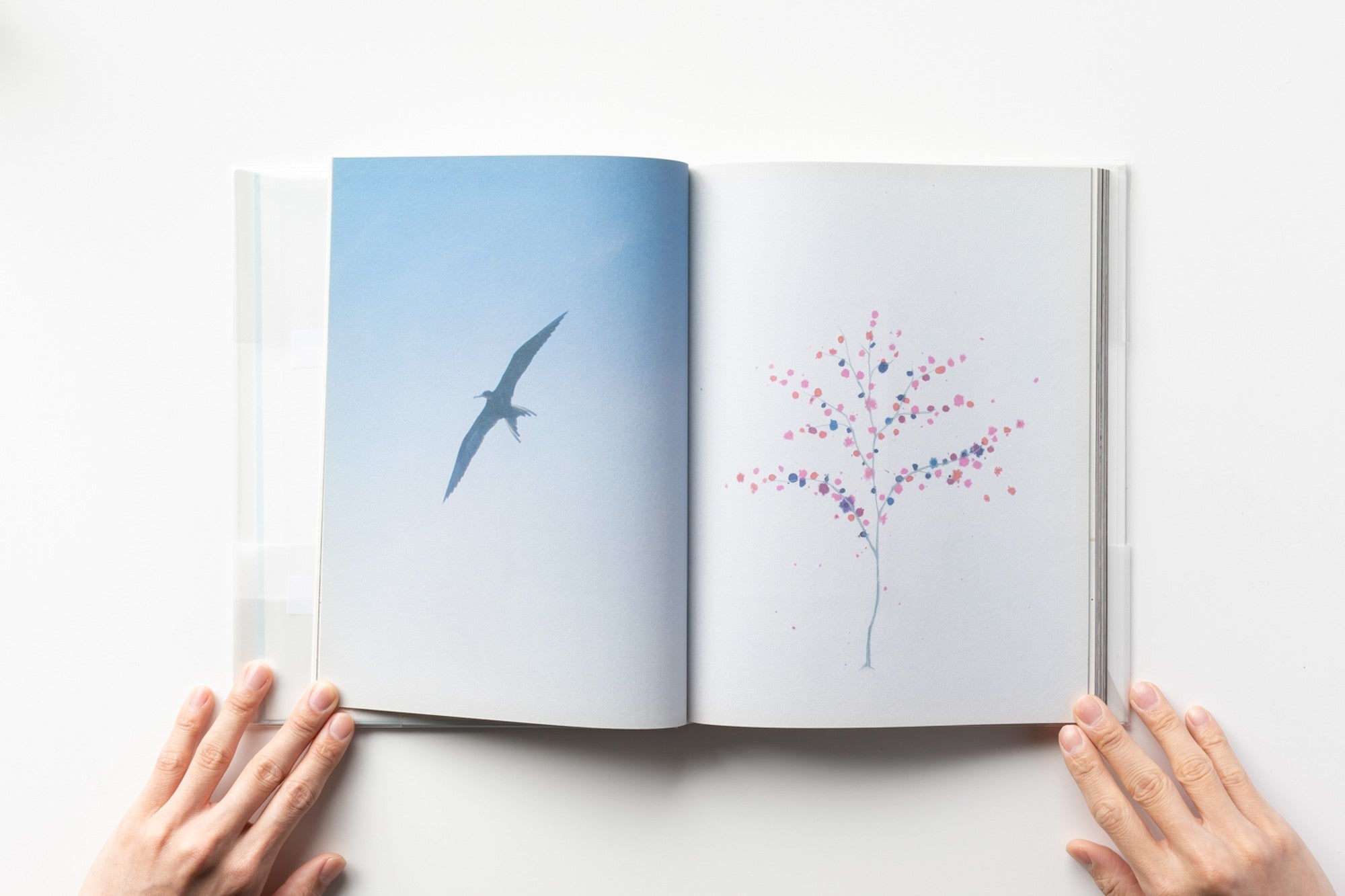 The Heart Land by Mark Borthwick – IACK