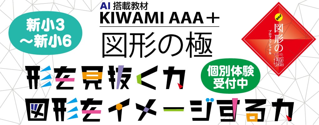 玉井式 図形の極AAA+｜茨進