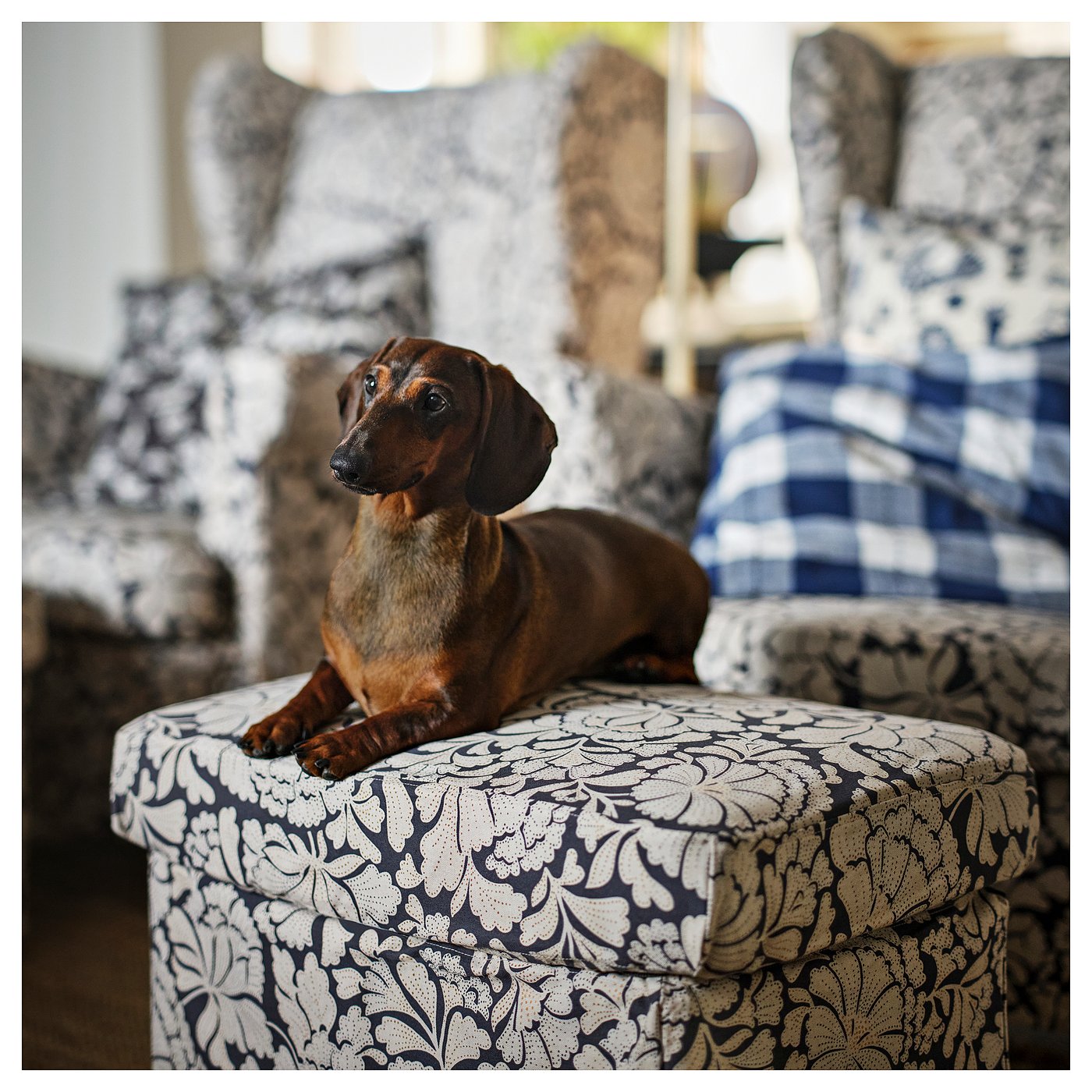 STRANDMON ストランドモン カバー オットマン用, リーベルスボリ