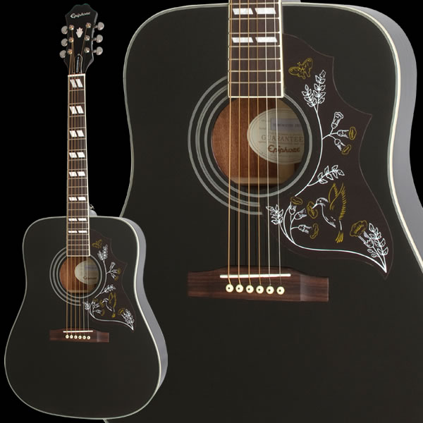 更新!!】超COOOOOOL！エピフォンによる漆黒のハミングバード