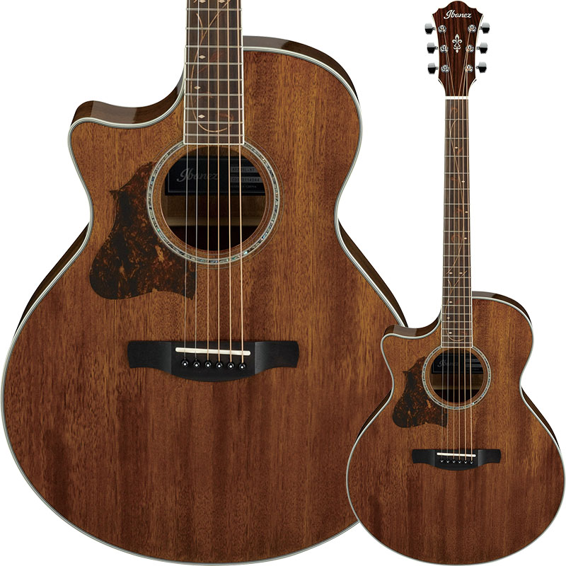 Ibanez】新たに7種のアコースティックギターが登場！ | イケベ新製品情報