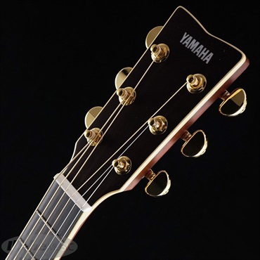 YAMAHA LS-TA (Vintage Tint) 【トランスアコースティックギター
