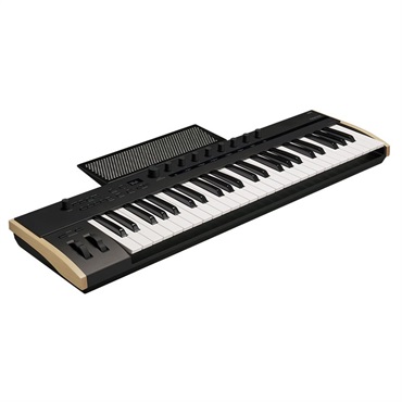 KORG KEYSTAGE-49(USB・MIDIコントローラー)(コルグ) ｜イケベ楽器店