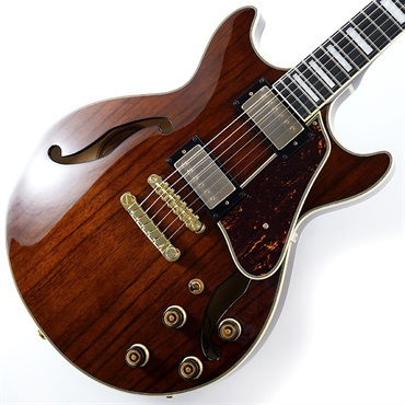 Ibanez Artcore Expressionist AM93ME-NT [SPOT MODEL] ｜イケベ楽器店