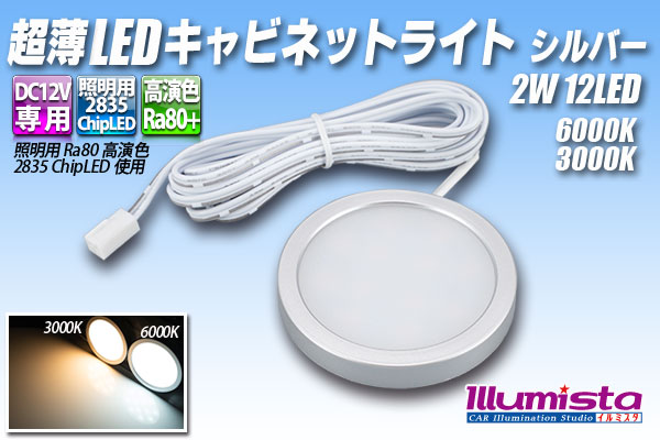 12V 車用 LED ダウンライト シルバー 2W 12LED