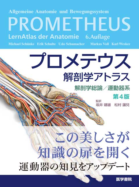 プロメテウス解剖学アトラス 解剖学総論／運動器系 第4版 | 書籍詳細