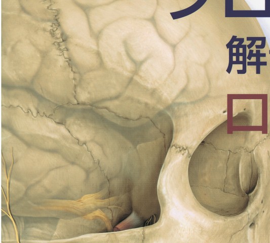 プロメテウス解剖学アトラス 口腔・頭頸部 第2版』立ち読み