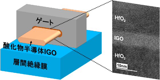 記者発表】原子層堆積法を用いたナノシート酸化物半導体トランジスタを