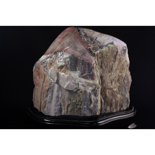 珪化木（木化石）原石置き飾り 5．2kg 天然石販売 名取貴石 天然石