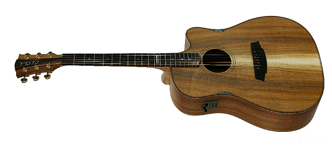 CUSTOM SERIES | Cole Clark (コール・クラーク) Guitars / イシバシ楽器