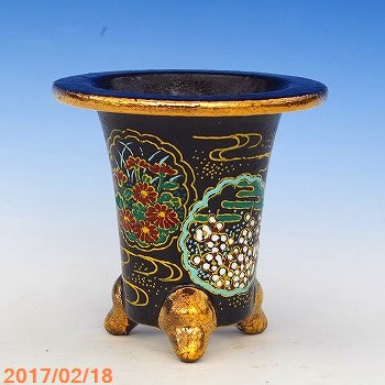 山野草の石田精華園 / 万年青錦鉢(長生蘭錦鉢)