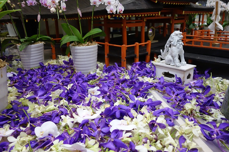 厳島神社が、蘭に染まる！ | 磯野製麺