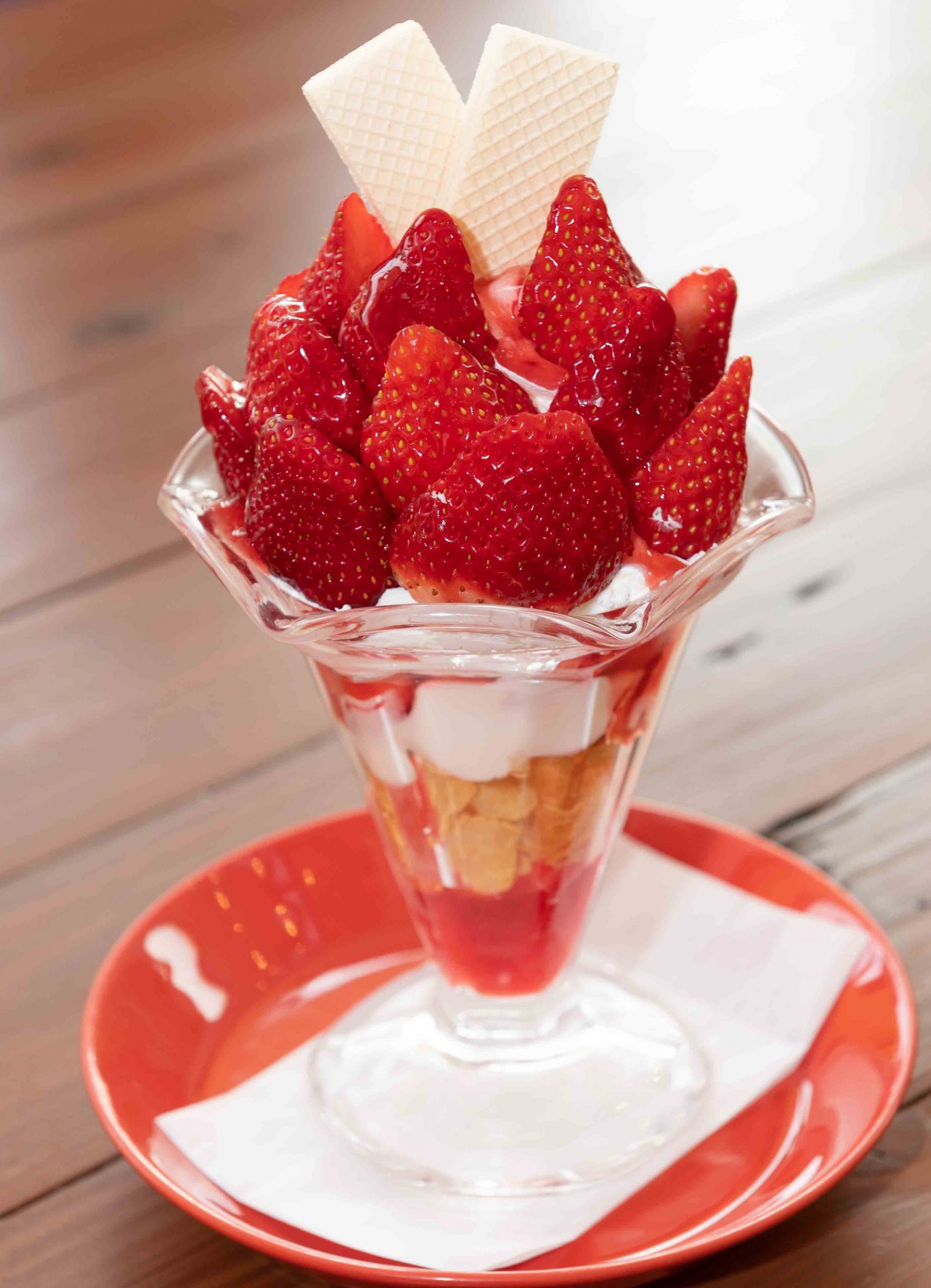 お知らせ | いちごの里｜栃木県小山市にあるいちご狩りのできるスロー