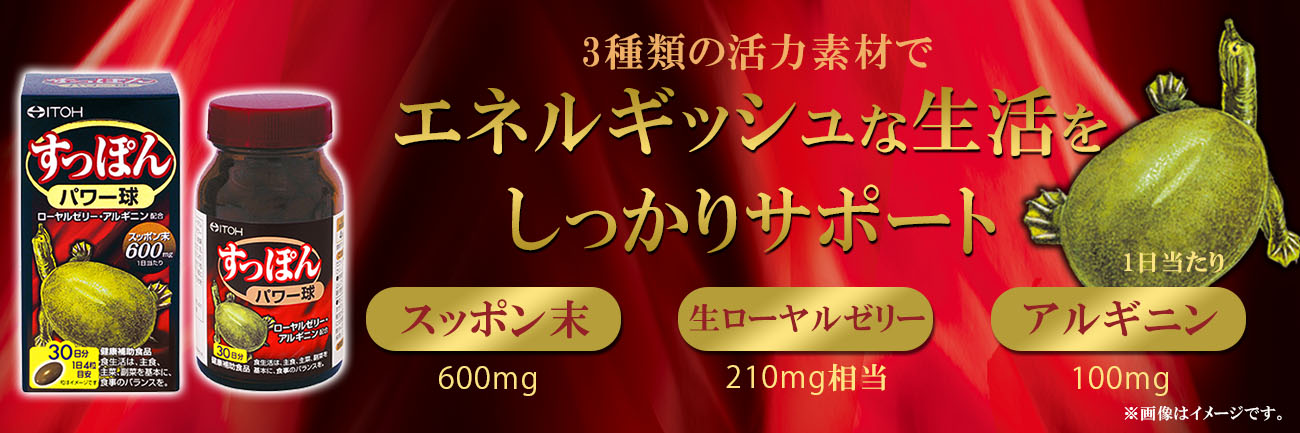 すっぽんパワー球 30日分 | 健康食品のことなら井藤漢方製薬