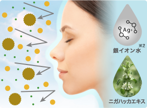 IPS エッセンスBBクリーム - 製品情報 - IPSコスメティックス