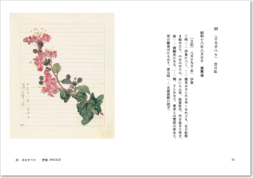 新編 百花譜百選／木下 杢太郎, 前川 誠郎｜岩波文庫 - 岩波書店