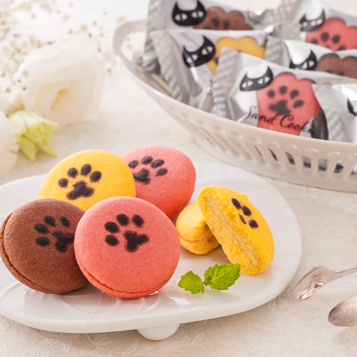 イワタニの公式オンラインショップ｜【出荷期間：6月13日-8月9日