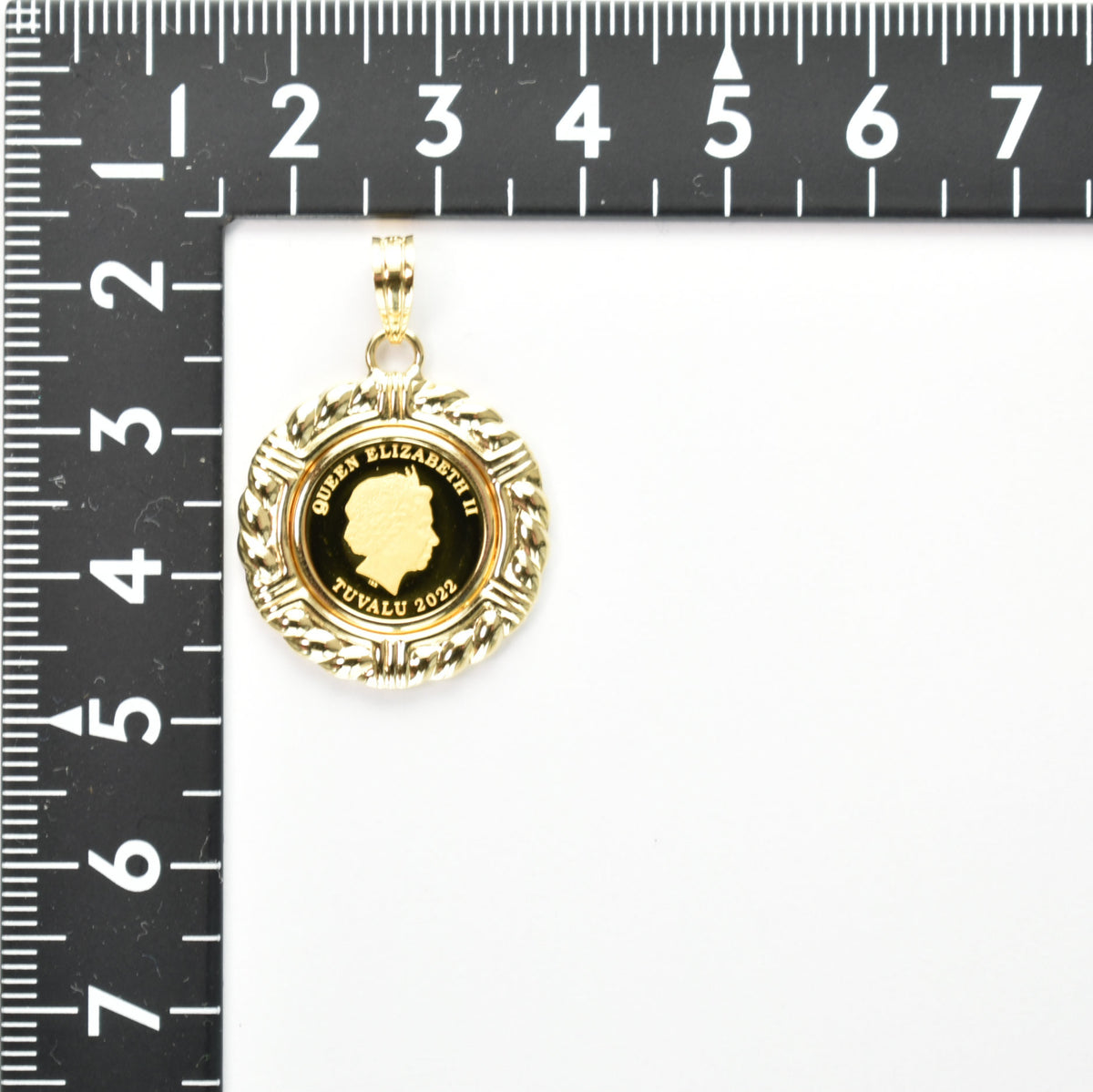 ペンダントトップ K24 ツバルホース コイン 1/25oz K18 枠付 (Type-WR