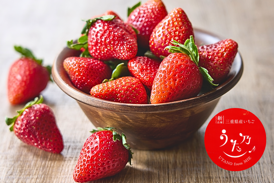 た*み様 【未使用】メロジョイ いちご 即日発送 最安値 mellojoy 大福