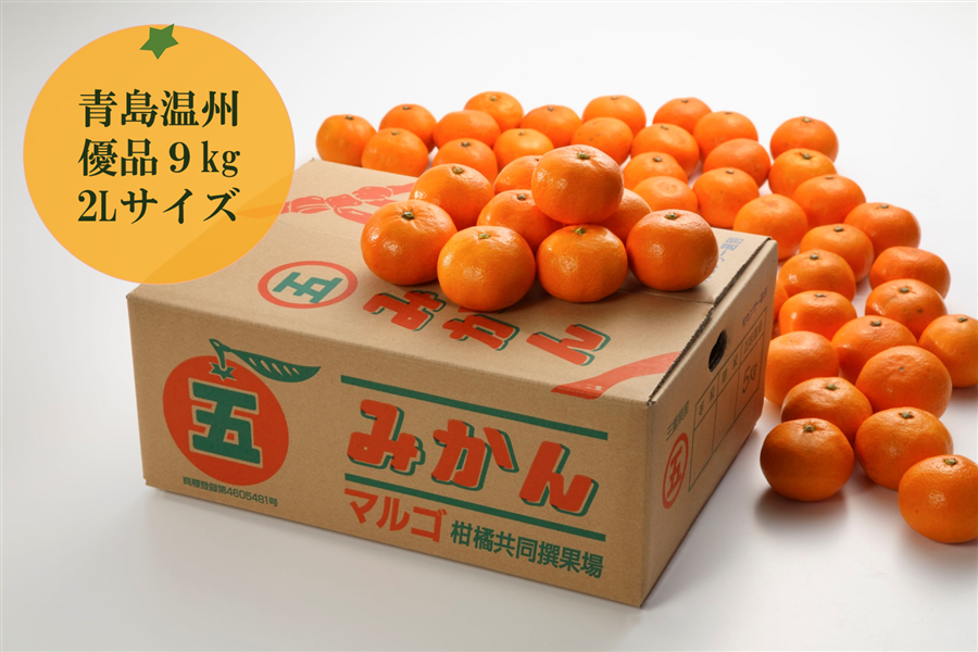 マルゴみかん（青島温州） 優品 約9kg 2Lサイズ JA伊勢 【※配送日指定