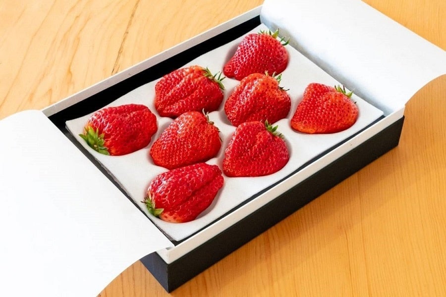 数量限定】風農園 超大粒紅ほっぺ 厳選6～8粒入 【※配送日指定不可