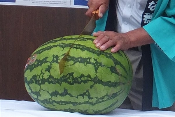 入善ジャンボ西瓜3Lサイズ: 『越中自慢』|【JAタウン】産地直送