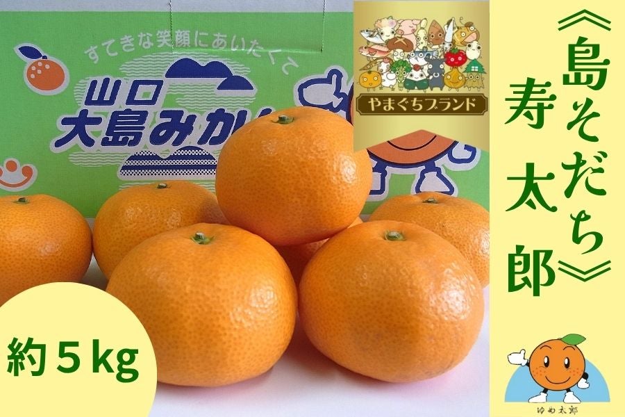 やまぐちブランド】≪島そだち≫山口大島みかん「寿太郎温州」【数量