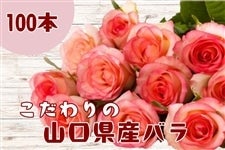 生産農場直送！こだわりのバラの花束 100本: 正直やまぐち|【JA