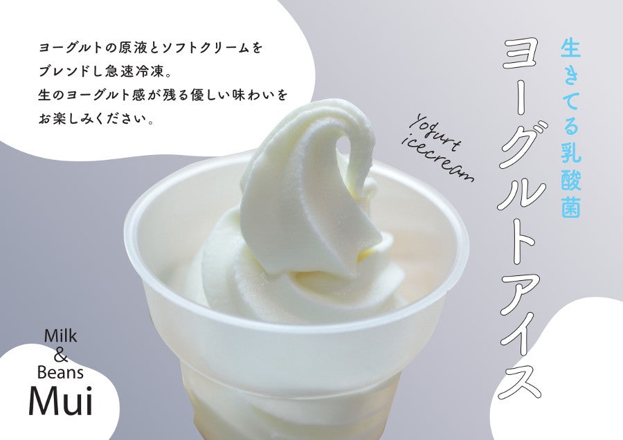 生きてる乳酸菌ヨーグルトカップアイス3種8個セット: しまね