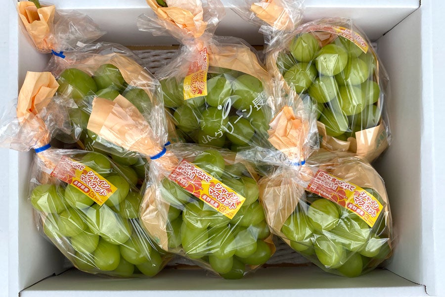 JAグリーン長野 シャインマスカット 6房(約3kg)【贈答箱】2期:10月1日