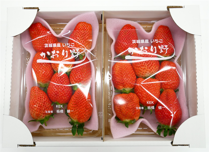 朝採り完熟いちご『かおり野』4パック入り 茨城県産: いいものいっぱい