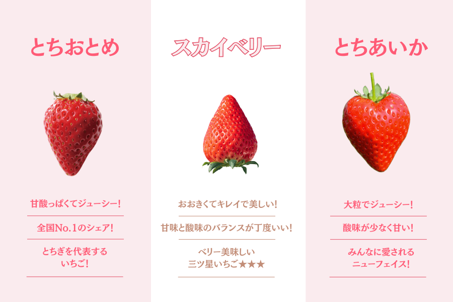 苺 とちあいか（280g×2パック）栃木県 JA佐野産: とちぎ新鮮倉庫