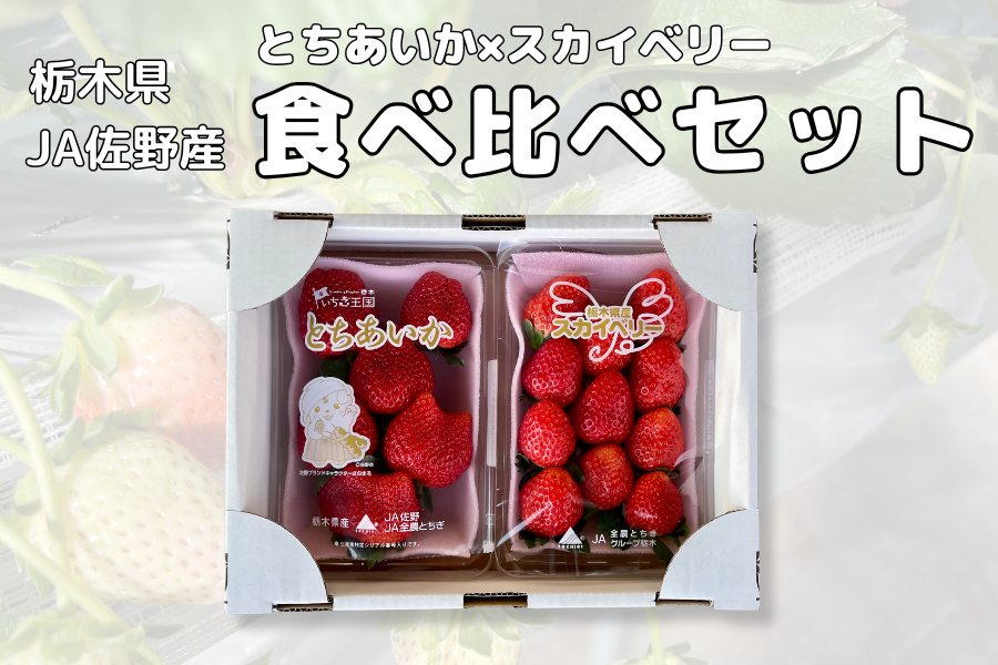 苺 食べ比べセット（とちあいか・スカイベリー）栃木県 JA佐野産