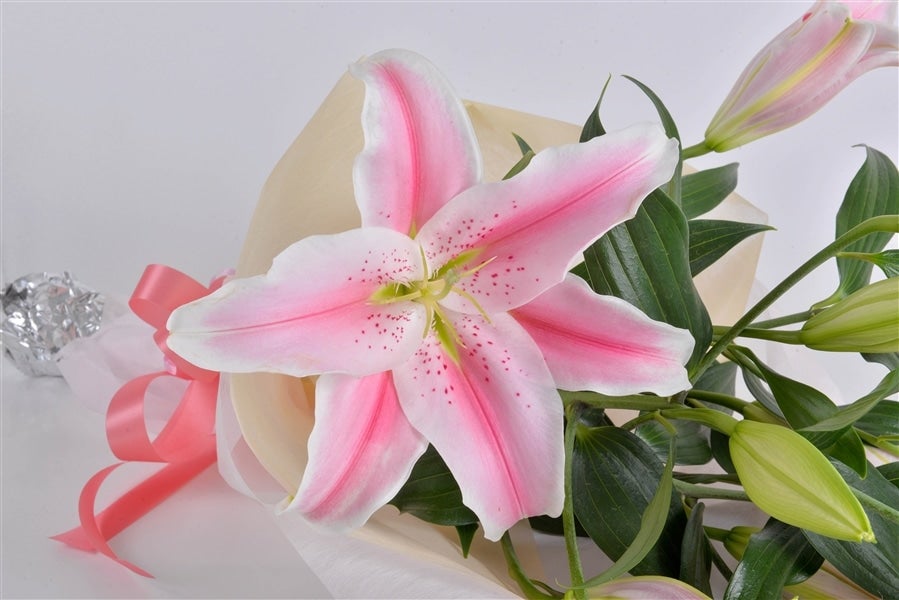 ユリ（ピンク） 栃木県産: とちぎ新鮮倉庫|【JAタウン】産地直送