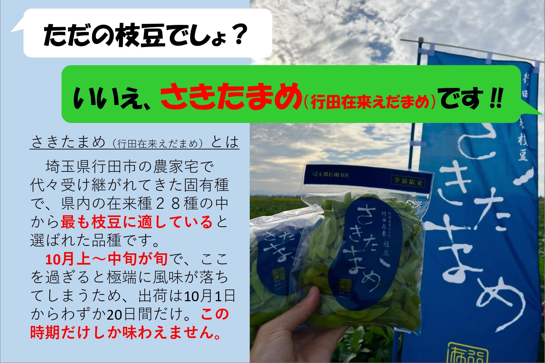 朝どり「さきたまめ（行田在来えだまめ）」1.25kg（250g×5袋） ※10