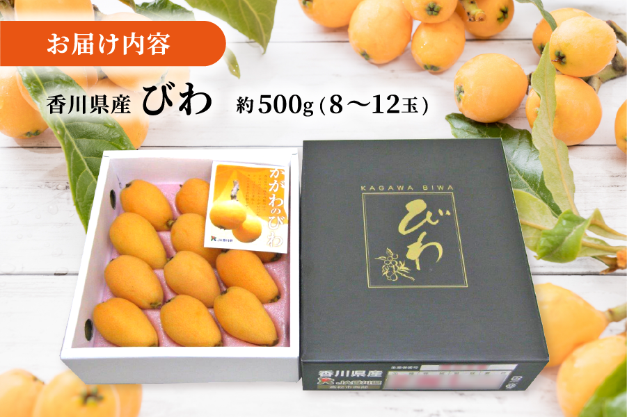 香川県産びわ 約500g（8～12玉）秀品・化粧箱入: JAギフトセンターか